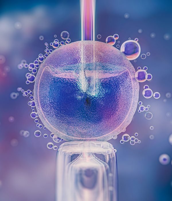 belo-conceito-de-fertilidade-em-renderizacao-3d (2)