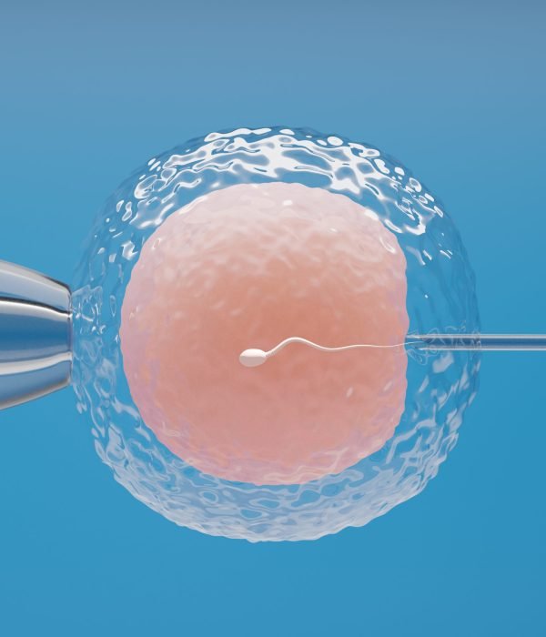 Ovum with needle for artificial insemination or in vitro fertilization. 3D Illustration Rendering.